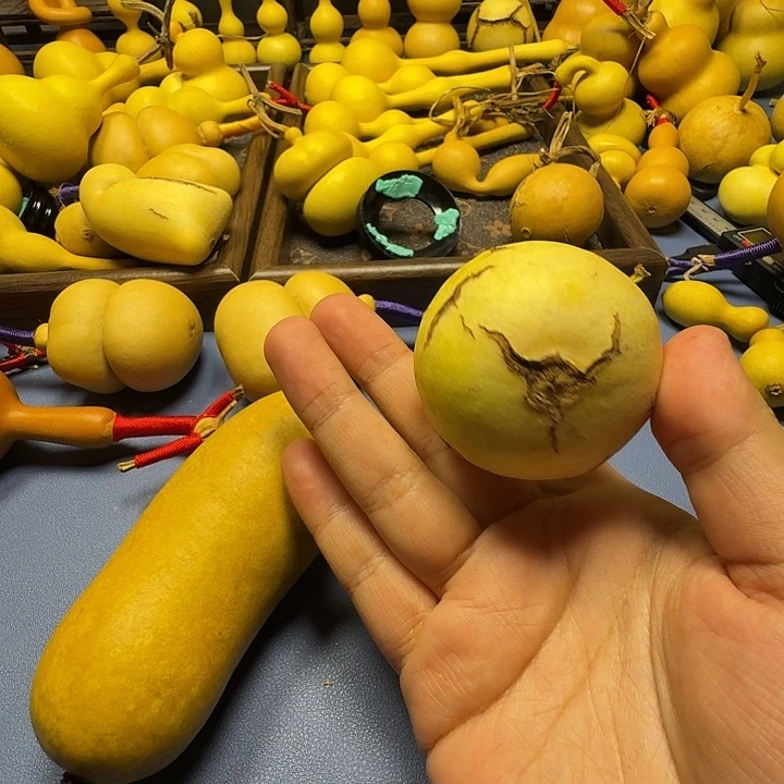 长***~发姑姑哈哈vvvvv姑姑好