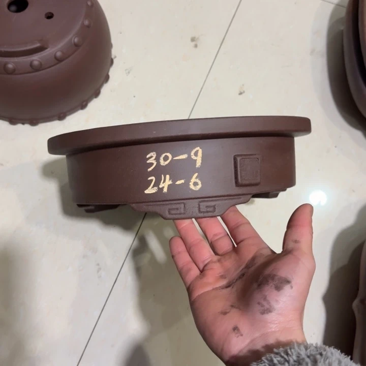 花盆紫砂我的心好痛