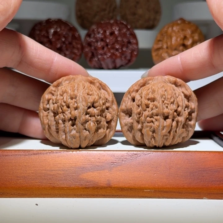 42全品四座楼精品