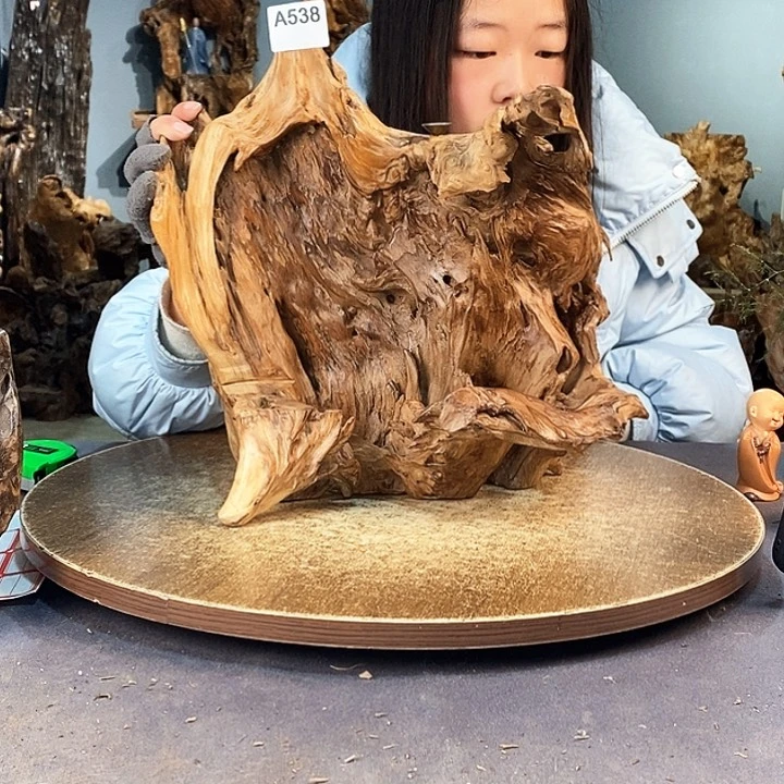 茶盏老*538株木的随行的根艺