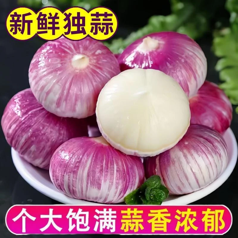 【新鲜现挖】2025年新蒜现挖精品紫皮独头蒜香辣0.5/1/2/3/5斤包邮