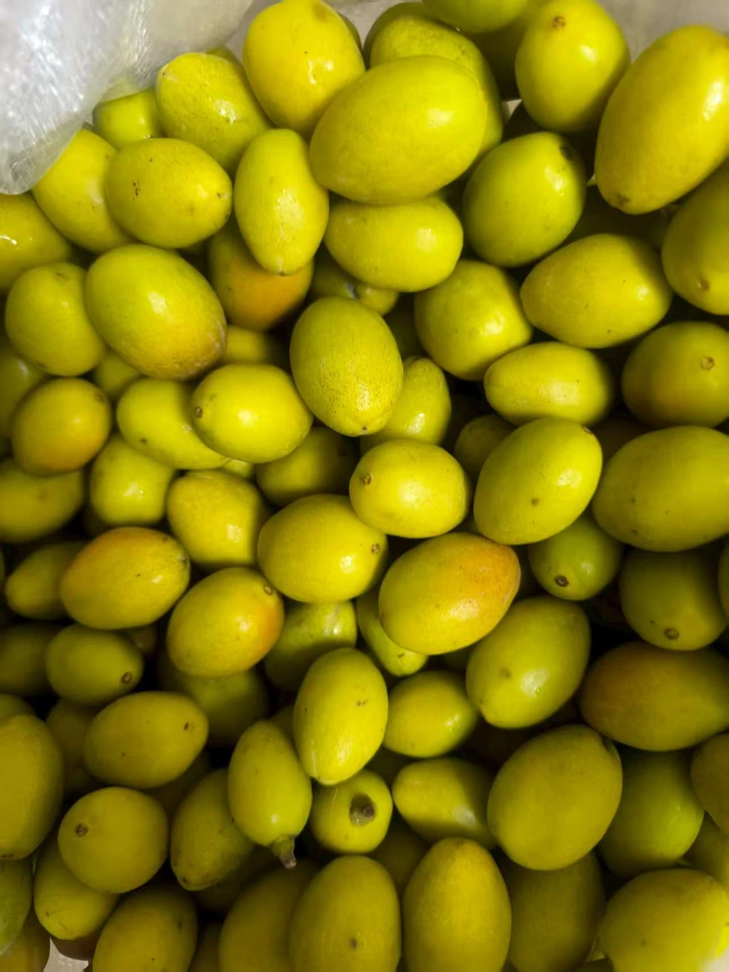 潮汕金灶新鲜纳种青橄榄可生吃可煲汤