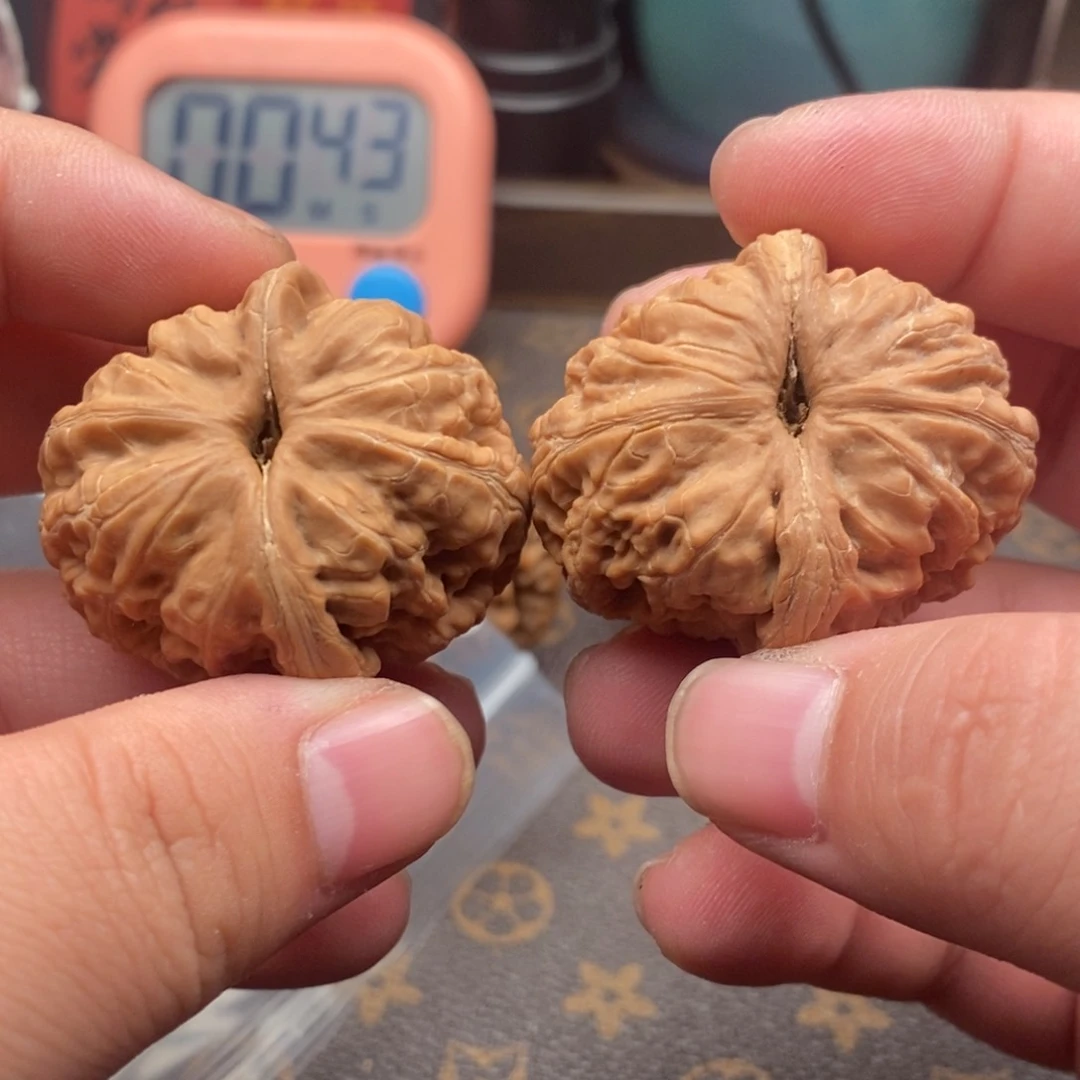 文玩核桃吊坠毛*霸王龙