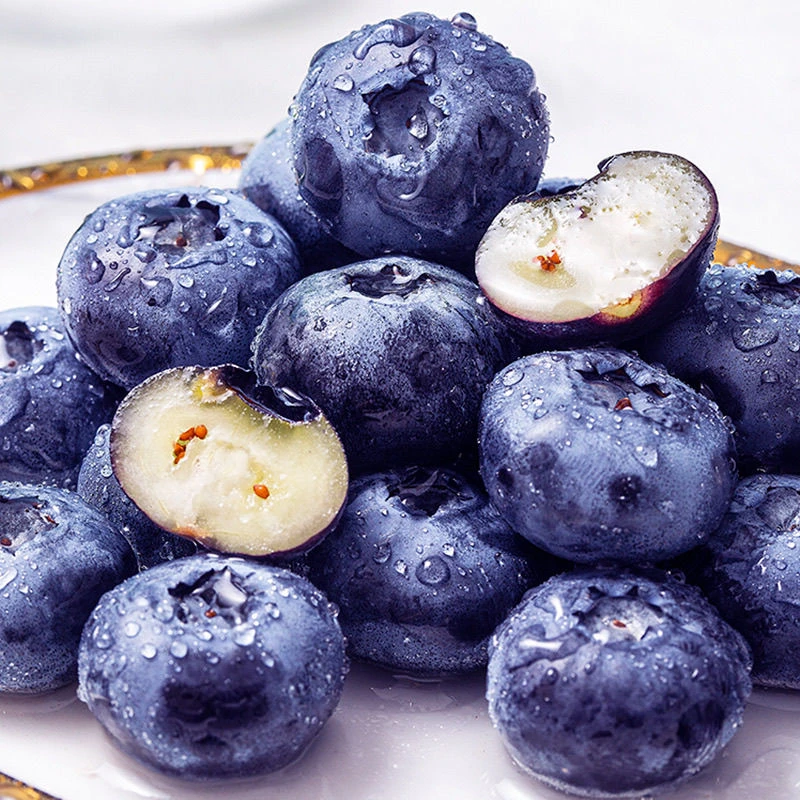 云南花香蓝莓高原新鲜采摘应季孕妇婴儿现采顺丰怡颗莓当季水果