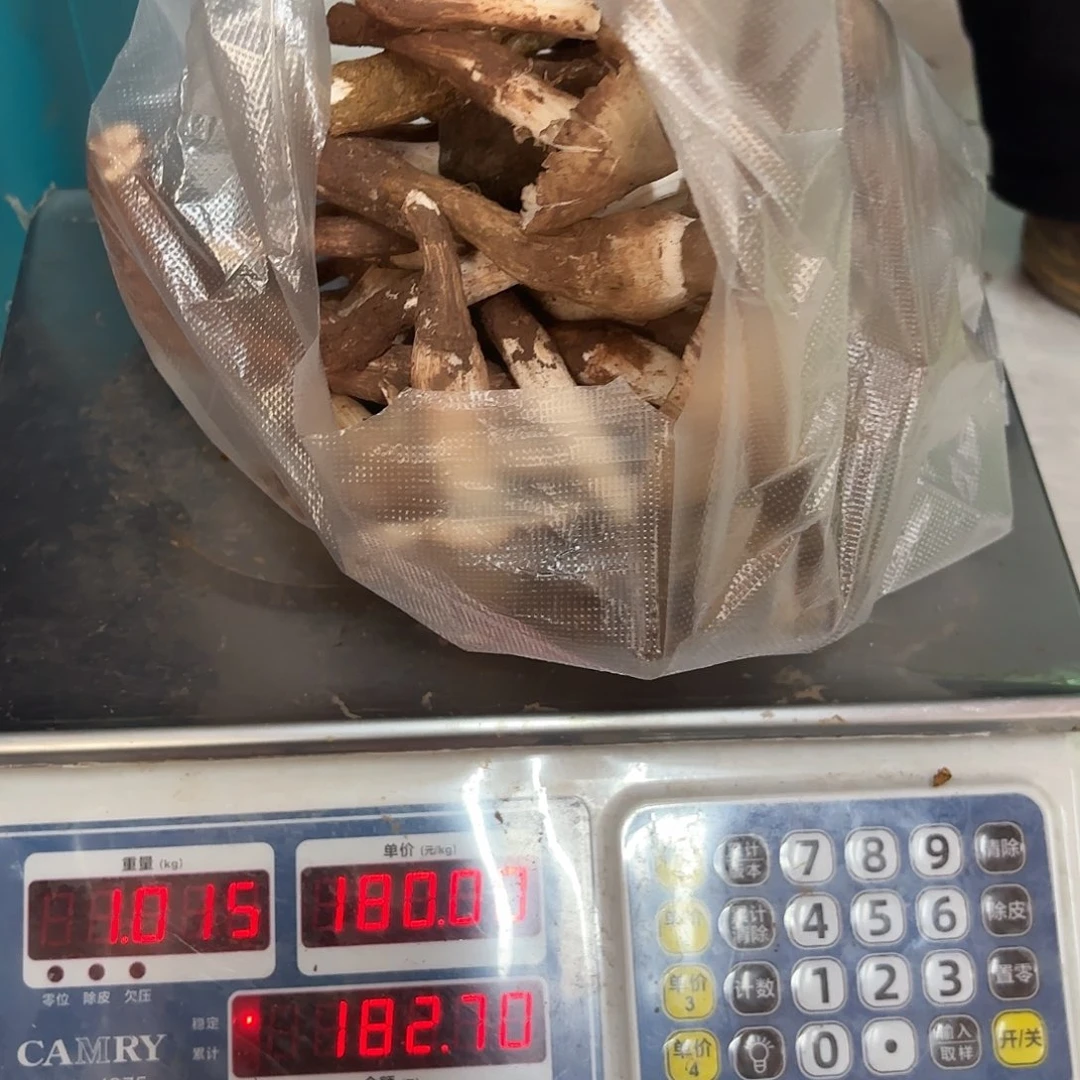 滚***滚云南小表妹野生菌代购中国大陆