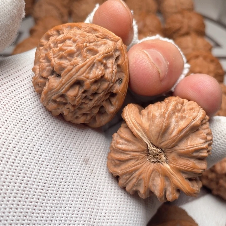 核桃手串/手链杨**-三角白41