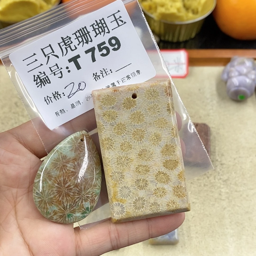 硅化珊瑚（珊瑚玉）1未镶嵌O****g