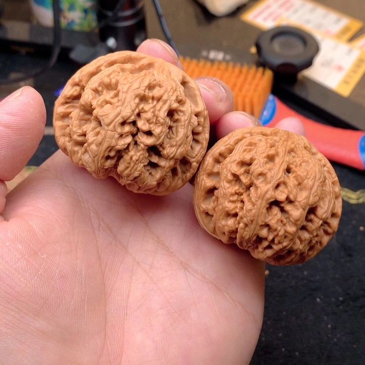 文玩核桃把件19号48大粗筋