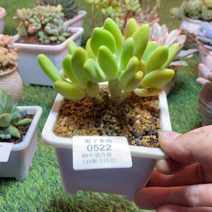 0522 啊啊啊啊啊啊啊啊啊