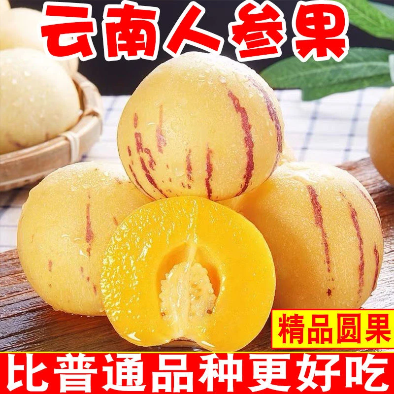 云南人参果新鲜采摘当季水果一整箱包邮圆果黄肉皮薄多汁清甜爽口