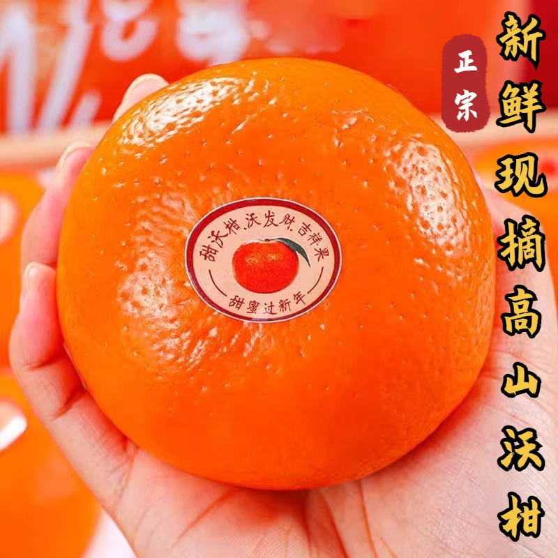 10斤正宗现摘高山沃柑香甜多汁新鲜应季水果坏果包赔不甜包赔