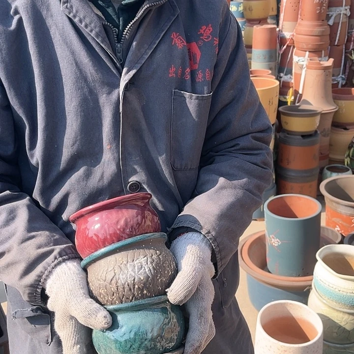 紫砂紫砂花盆和花盆里