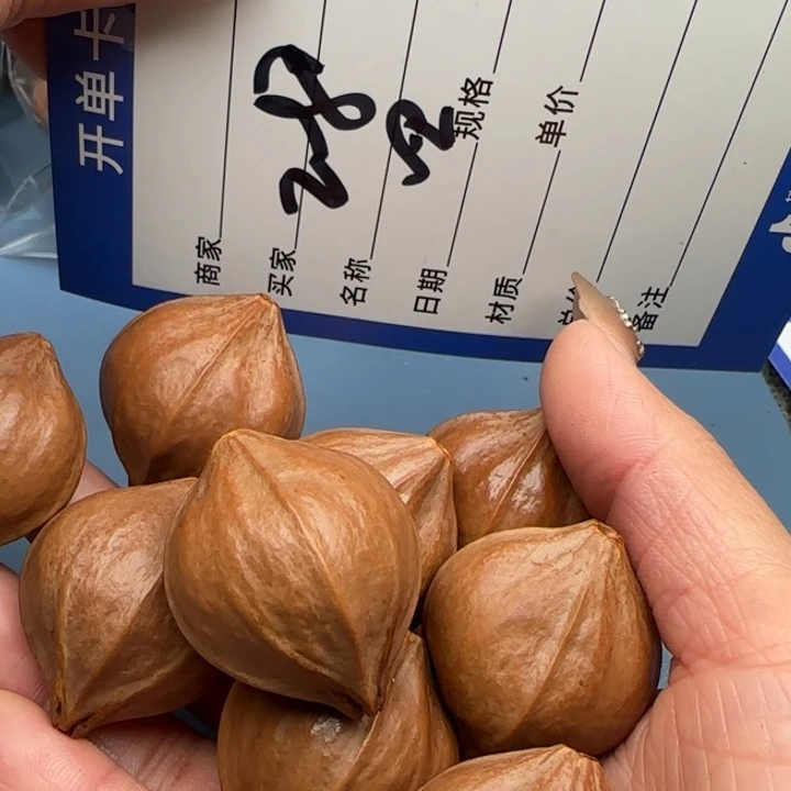 爱***子橄榄核手串橄榄核