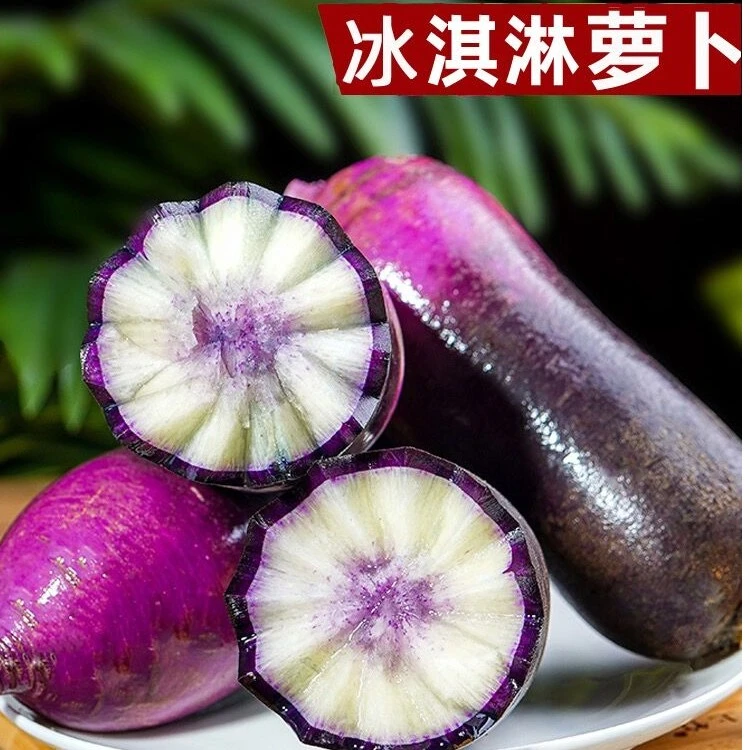 冰激凌水果萝卜种子种籽紫皮冰淇淋水果罗卜籽种菜种红蔬菜孑子
