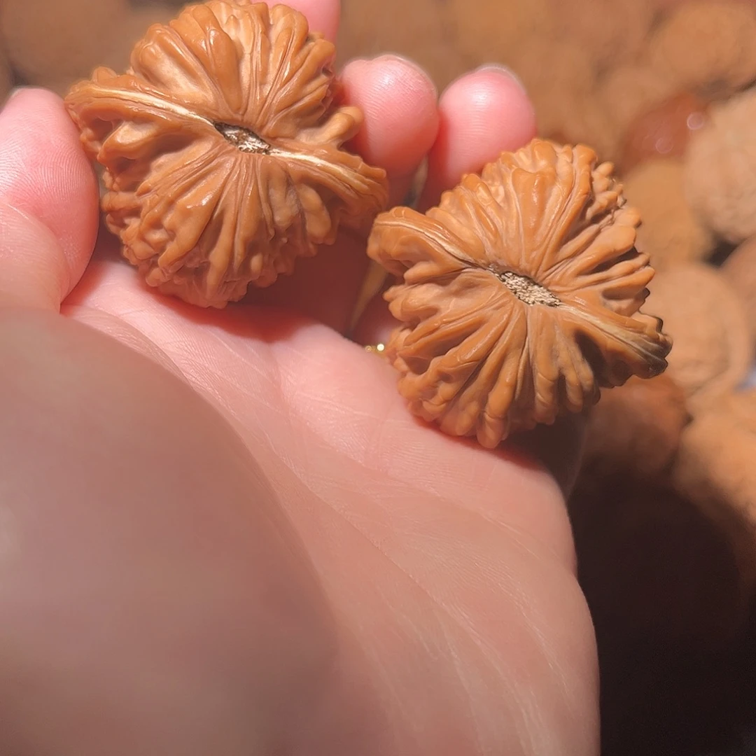 龙脊菩提吊坠四座楼