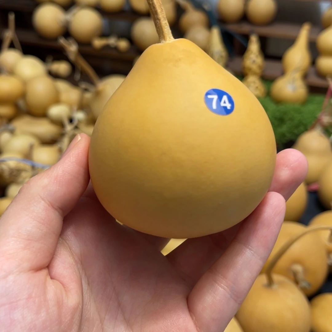 闪拍葫芦链接-74号品