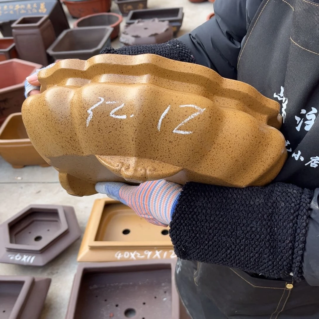 紫砂花盆盆景艺术