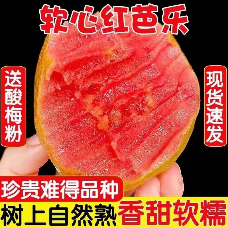 广西软心芭乐红心芭乐白心番石榴珍珠番石榴鸡屎果新鲜现摘发货