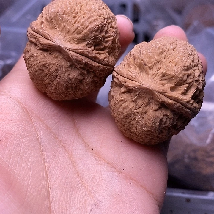 文玩核桃把件   219
