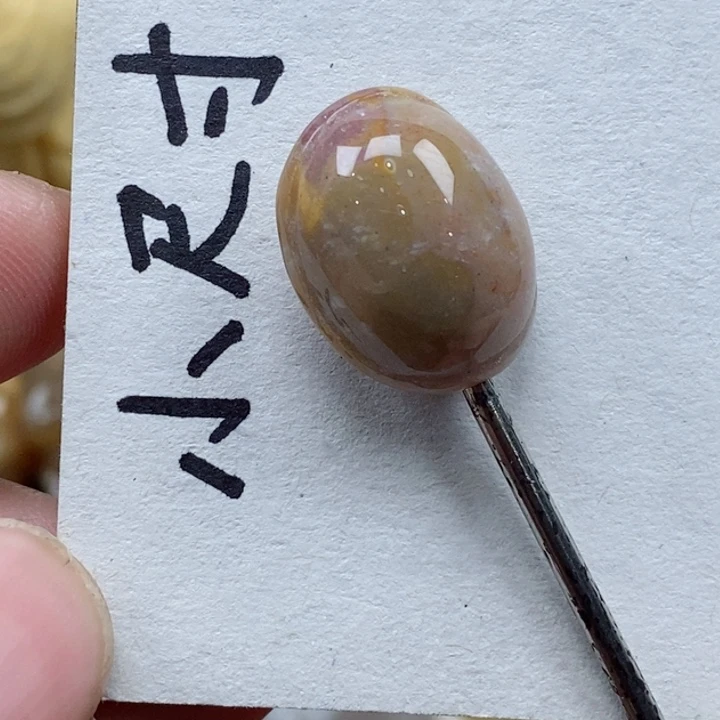 颈饰未镶嵌硅化珊瑚（珊瑚玉）