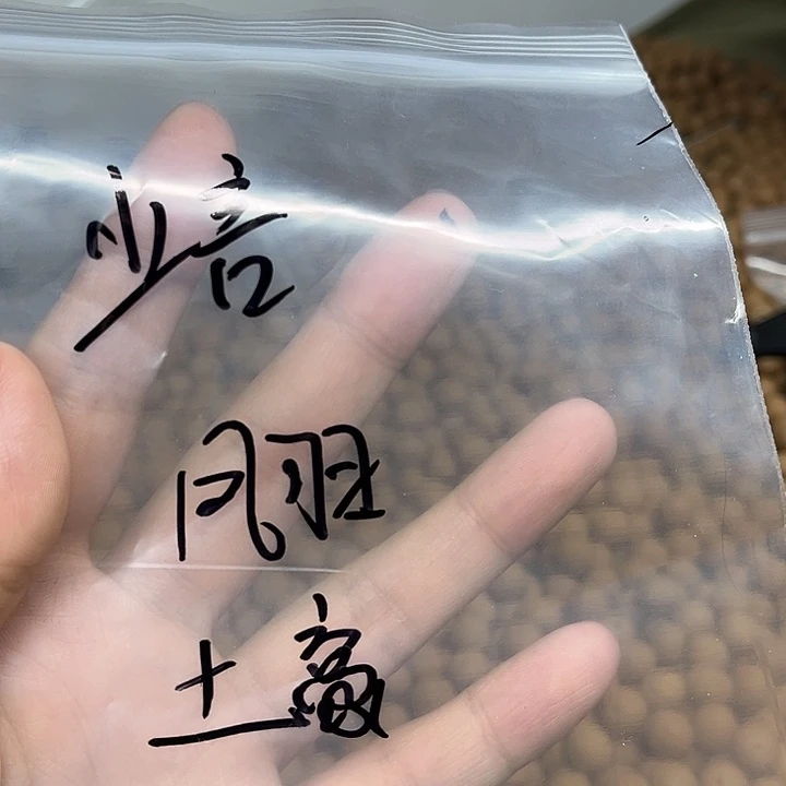 少***言猴头核桃手串土豪凤羽各50颗