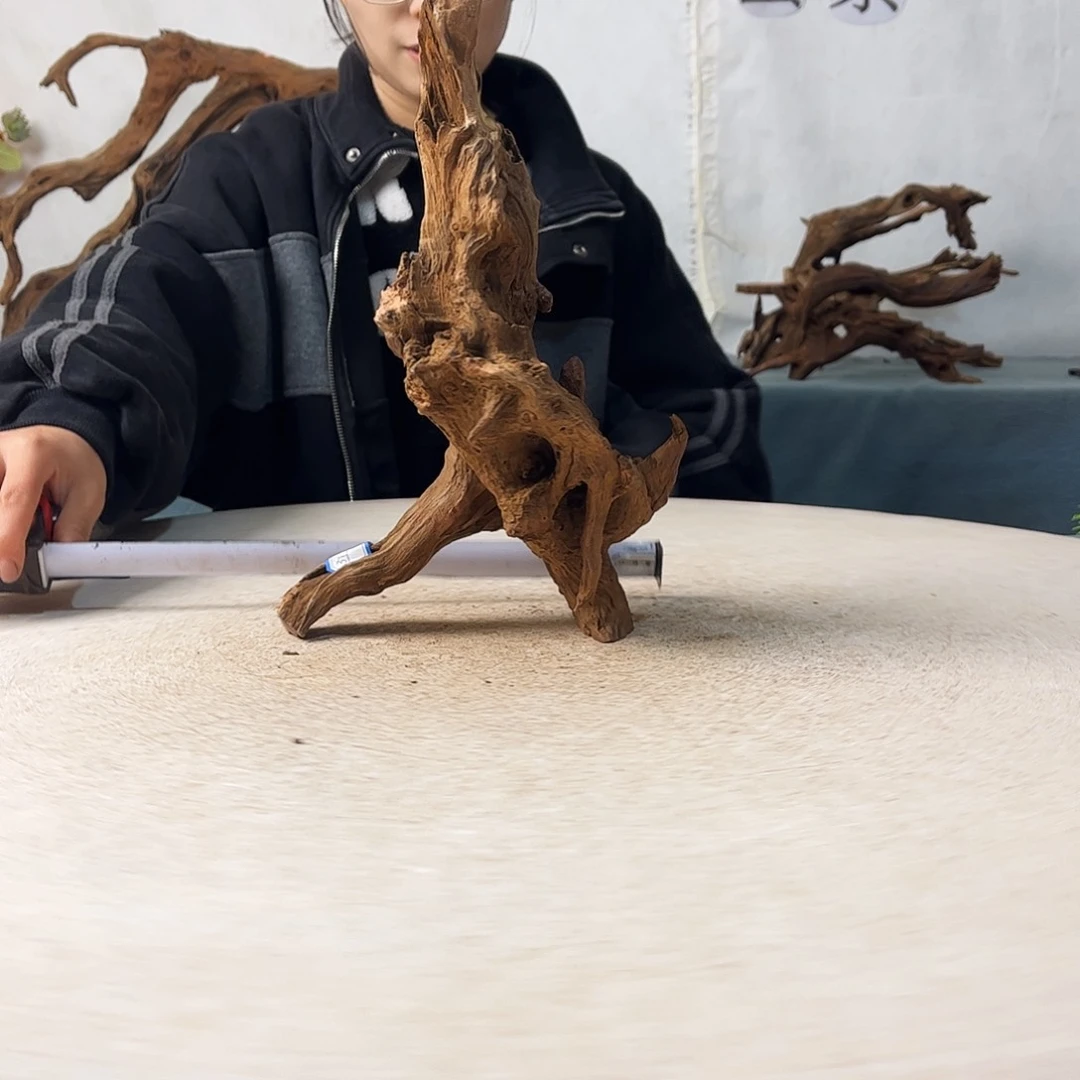 沉木造景爬宠造景