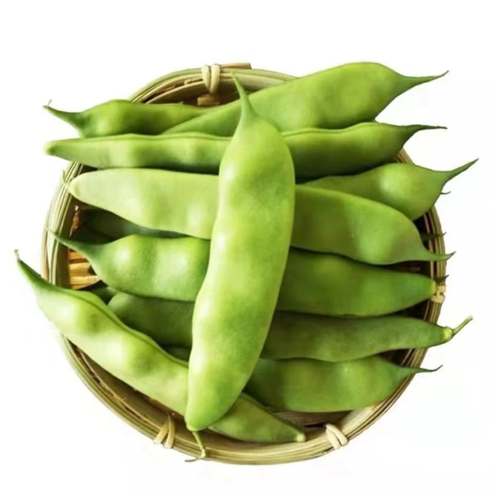 5斤顺丰包邮 九月青油豆 开锅烂 现摘现发