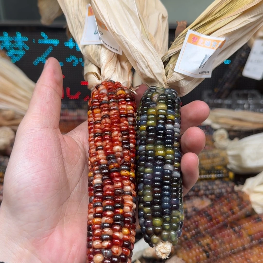 柏香籽/百香籽吊坠要***芦