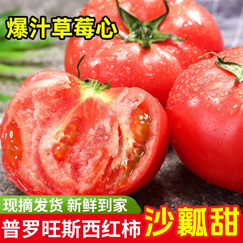 普罗旺斯西红柿3斤装4.5斤装自然熟沙瓤多汁酸甜细腻新鲜水果番茄