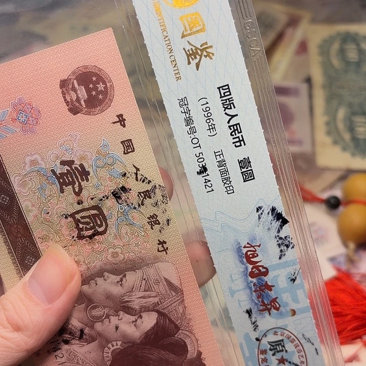 淡***菊国鉴42。