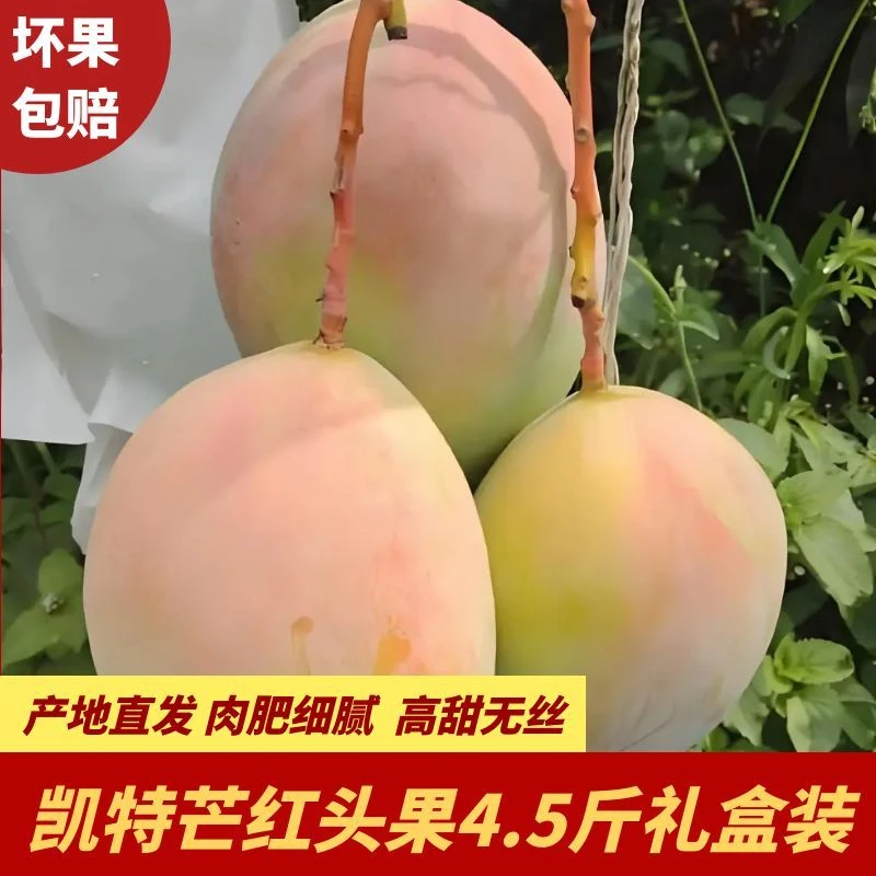 凯特芒胭脂红头果4.5斤/8斤礼盒装四川攀枝花新鲜应季水果芒果