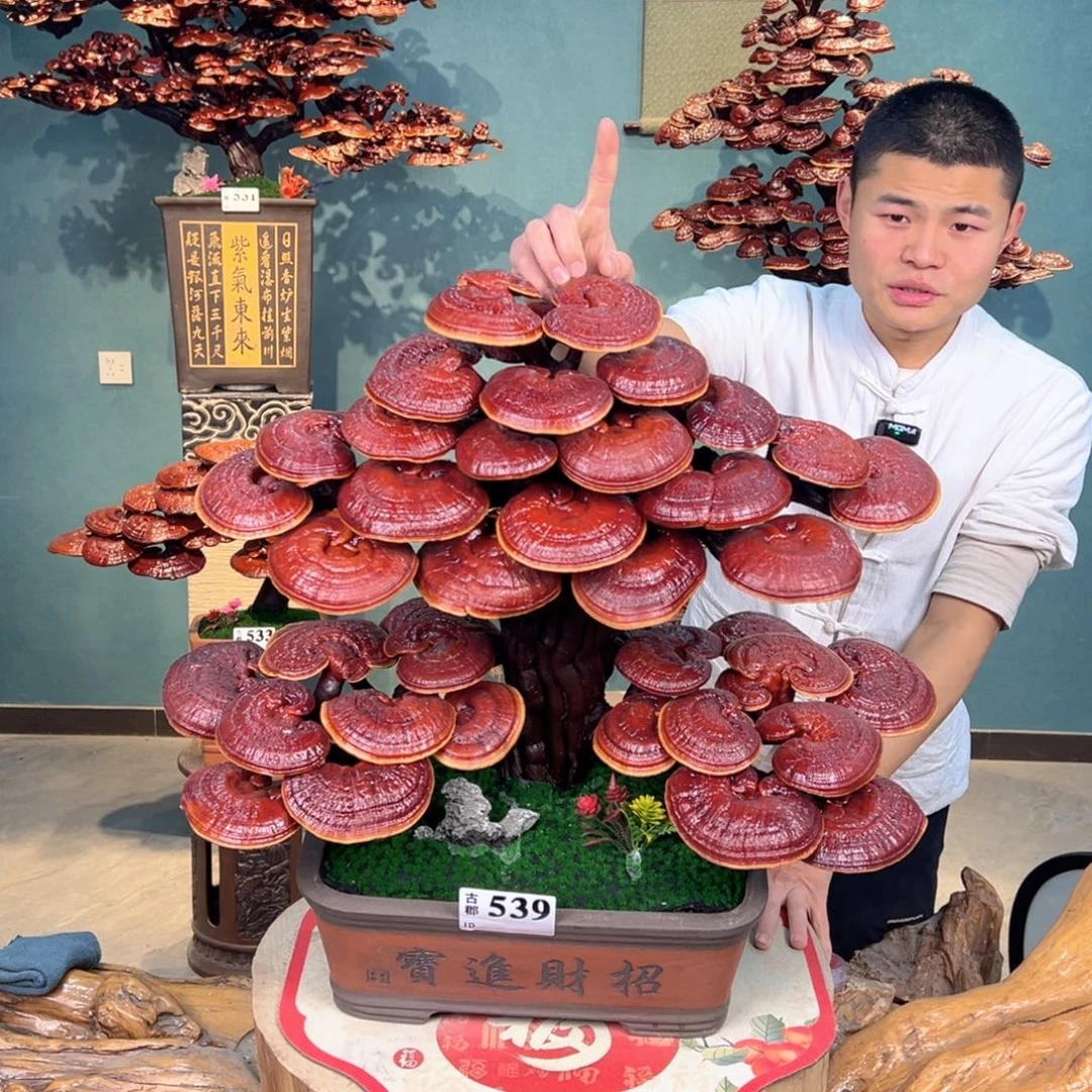 无花朵88888880080