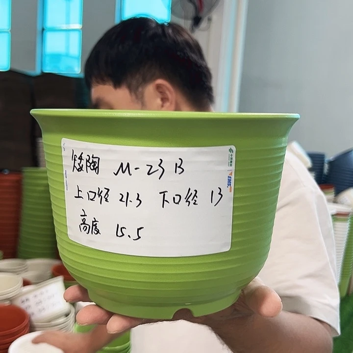 正品矮陶口21高15果绿无托8只