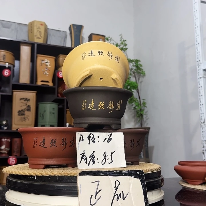 紫砂花盆盆友记紫砂花盆