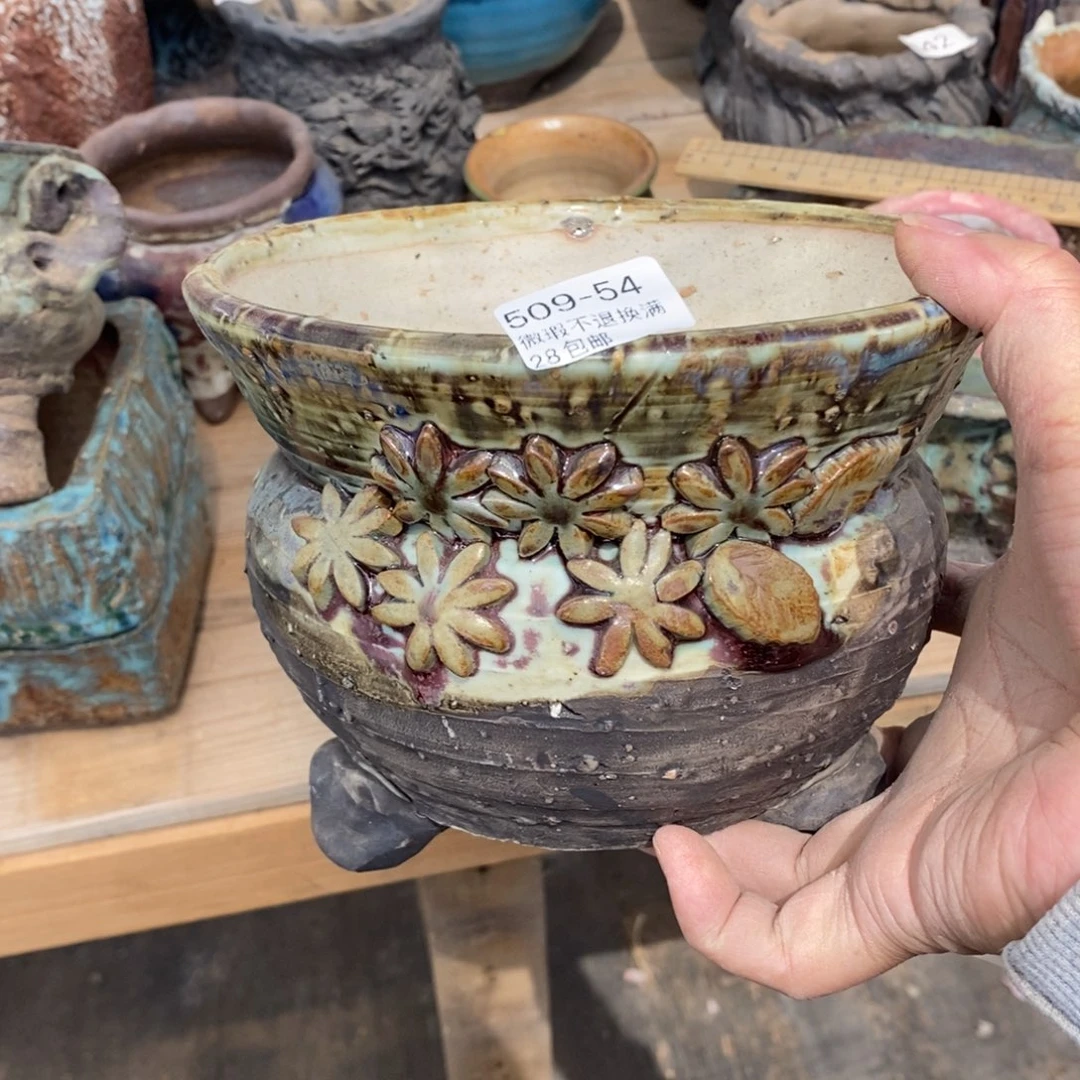 @*儿54号多肉盆一个呀