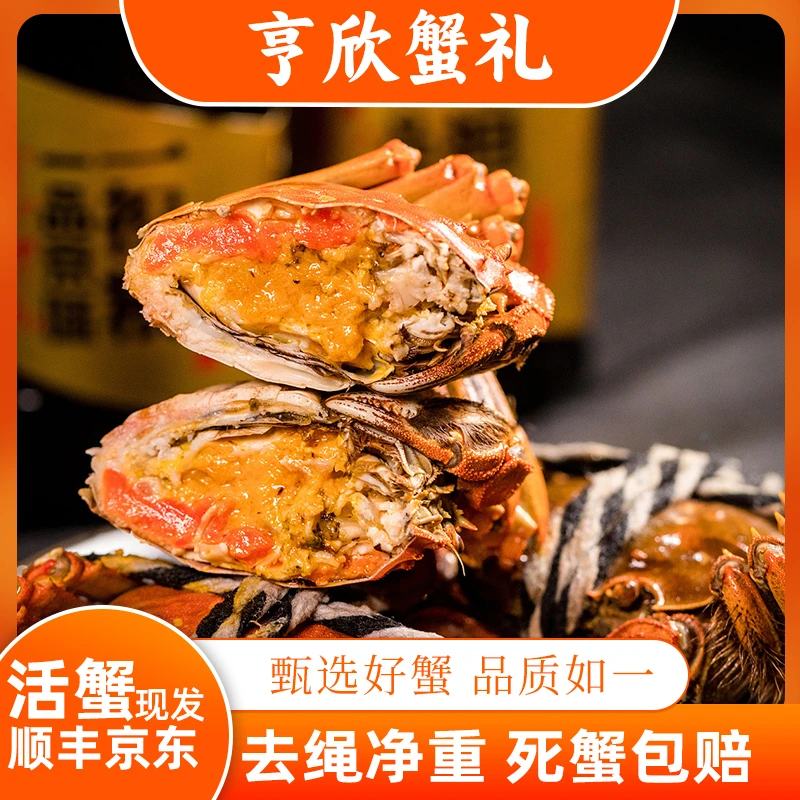 【金秋蟹礼】公蟹3.6-3.3两母蟹2.6-2.3两8只活蟹苏州大闸蟹礼盒装
