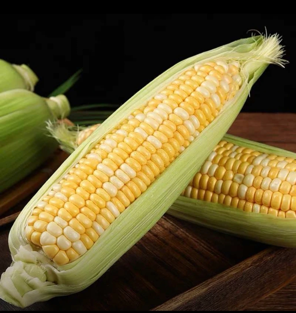 新鲜现摘糯玉米香甜嫩口带壳应季美味
