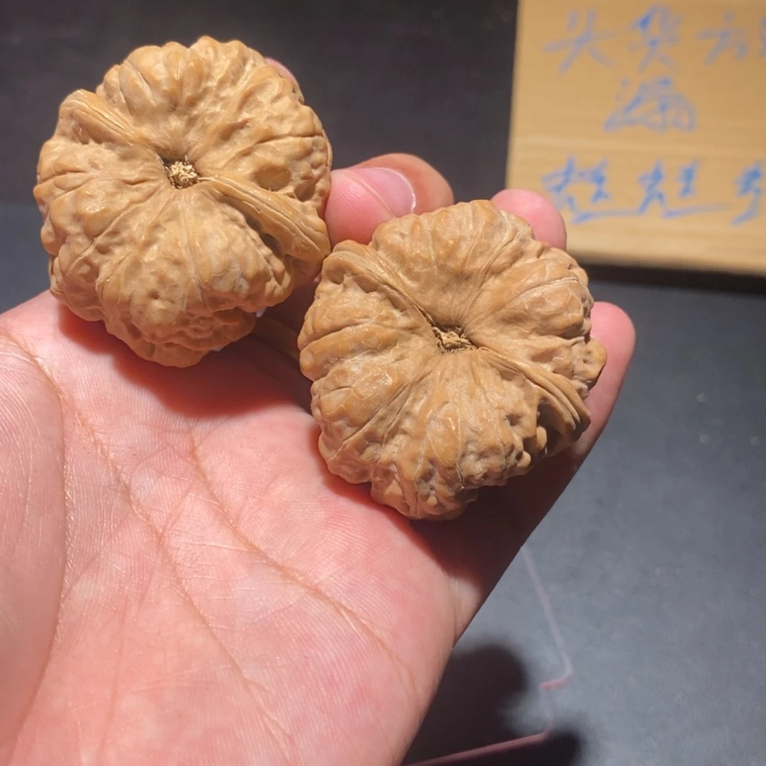 把件文玩核桃毛****毛366000000000