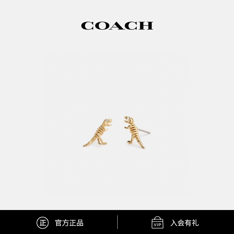 COACH/蔻驰 女士百搭简约SKELETAL REXY耳钉