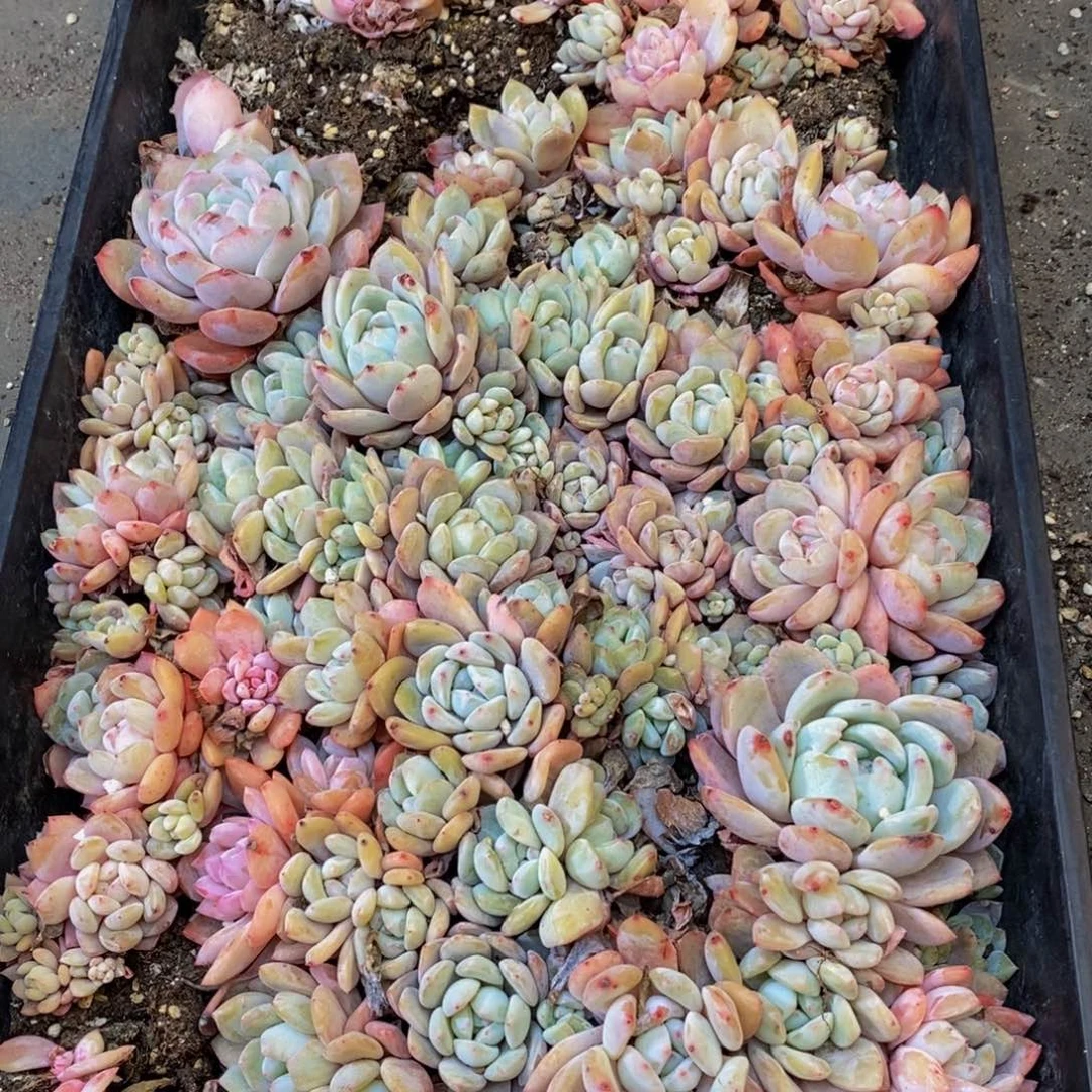 128的人和我一起看电影