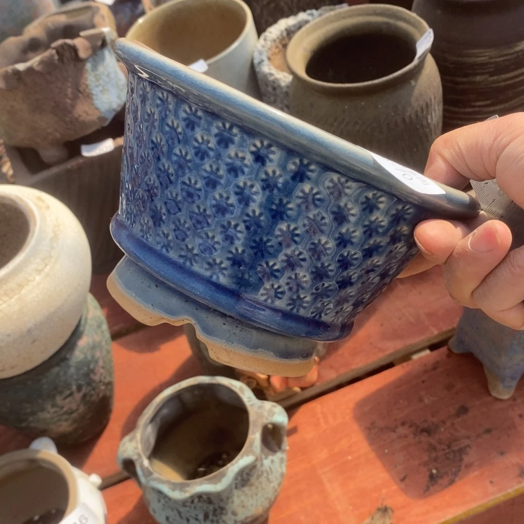 红陶蝴*70号多肉盆一个呀