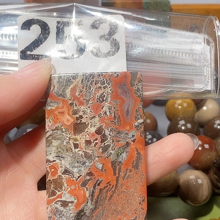 硅化玉未镶嵌天然北票树化玉吊坠