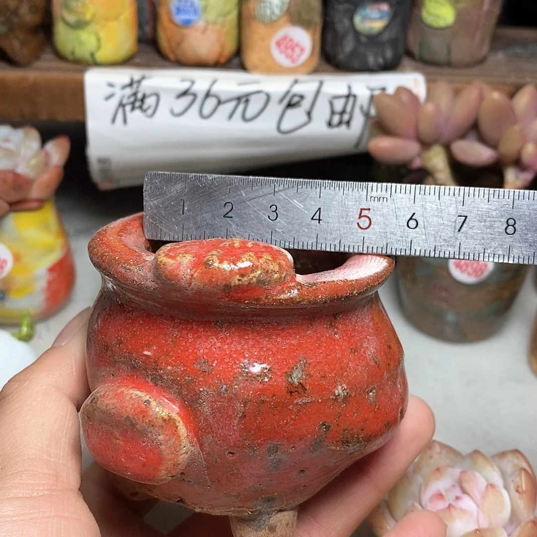 红陶拍5送一个小