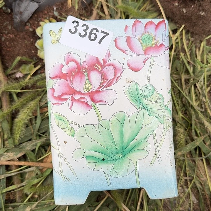 乳***司3367花盆一物一拍