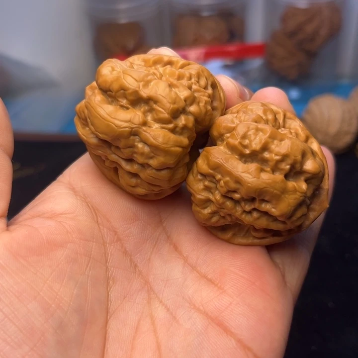 大叶紫檀（黑酸枝木类）