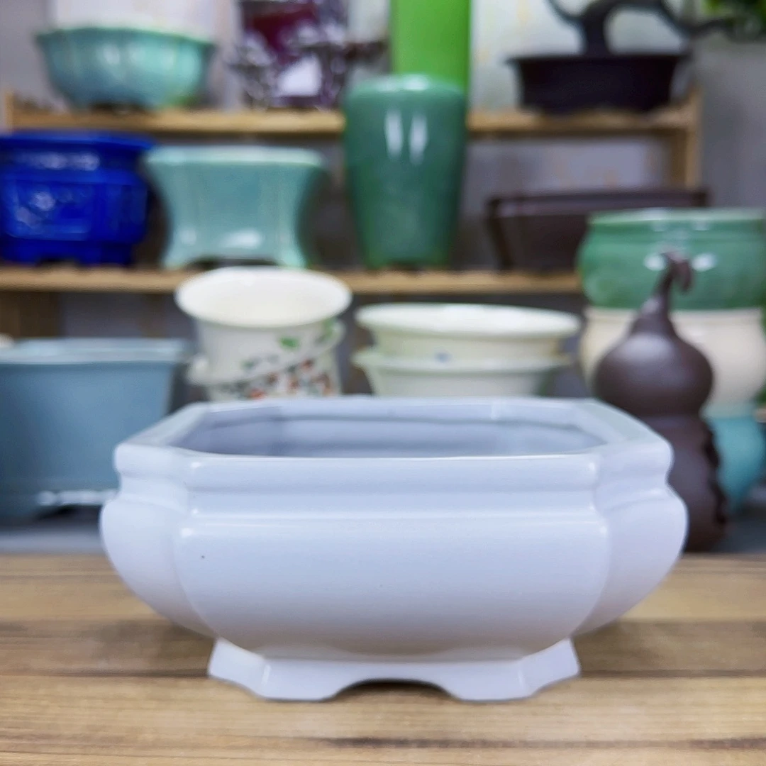 陶瓷花盆特价上新