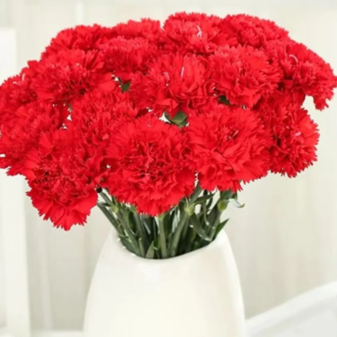 【只发新疆】红色康乃馨18支（2支不售后）