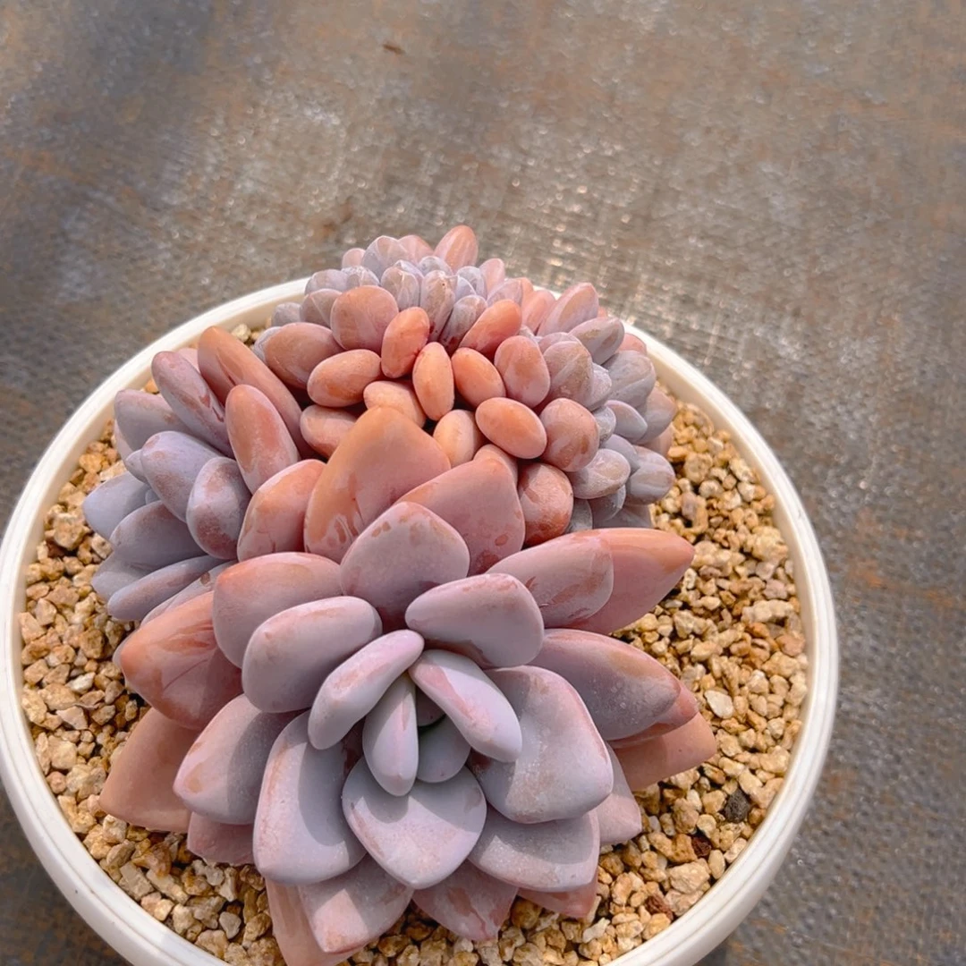 1061111111111111111111