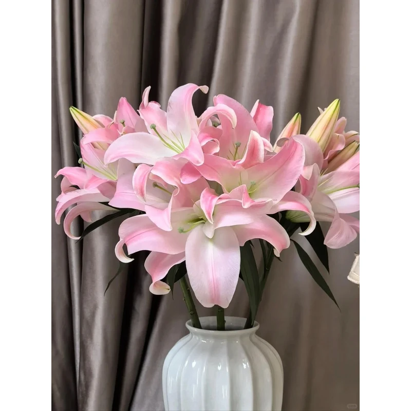 【花言罐舍】星光香水百合 一单包邮 云南鲜花昆明基地现采现发
