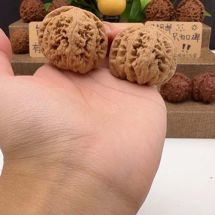 全品大粗筋44/41/36